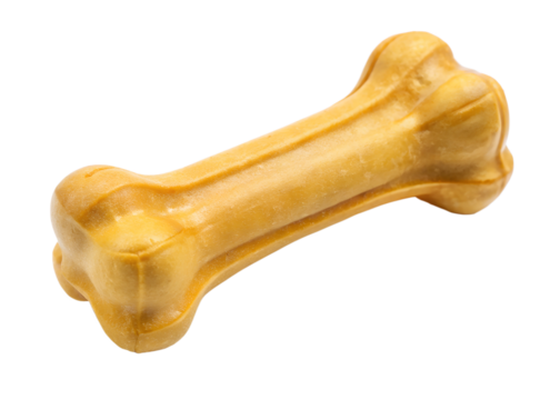dog bone isolated on white