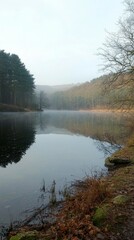 Misty Lake Surrounded by Trees on a Calm Morning in Nature