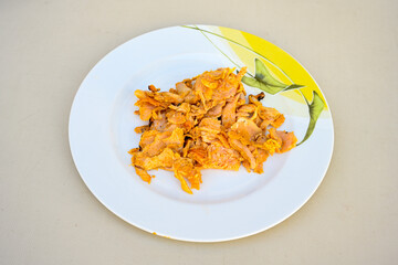 Lavash zurna doner kebab ( zurna  durum )  or shawarma sliced in plate isolated.  hatay usulu tavuk Et doner durum. Gobit ekmek arasi doner. Pilavustu iskender doner kebap. 