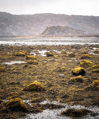 Low tide at Badnabay on the shore of Loch Laxford and at the NC500 in north-west Scotland.