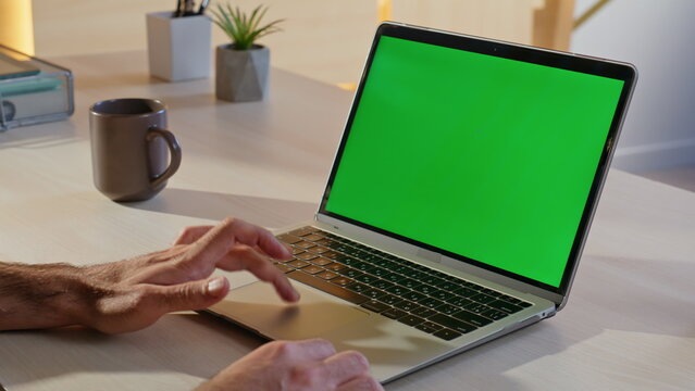 Entrepreneur browsing app green screen laptop in company office closeup. 