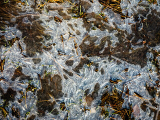 Eis und Frost auf einer Wiese