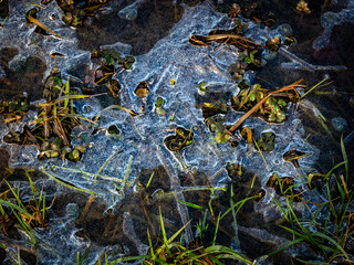 Eis und Frost auf einer Wiese