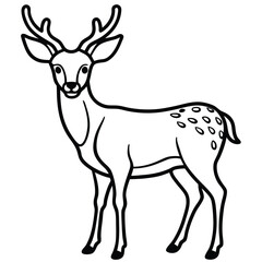 illustration line art vector deer  