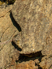 Felswände eines alten Steinbruchs im Wald
