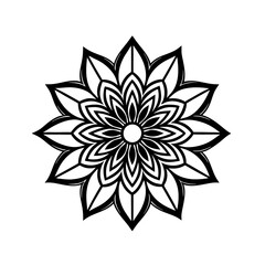  illustration of a flower