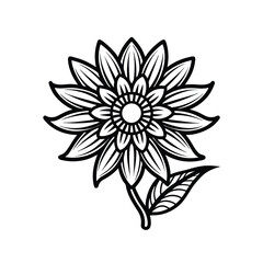 vector illustration of a flower on white background