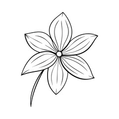 vector black and white flower