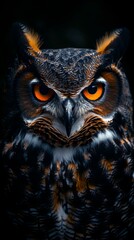 The sharp contours of its face and prominent ear tufts stand out against the soft, golden backdrop.