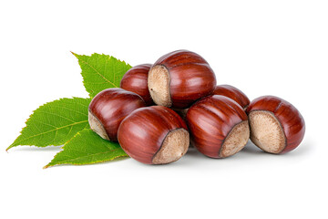 Obraz premium Heap of chestnuts isolated on white backdrop