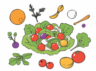 Wholesome Salad Ingredients Vector Illustration for Health