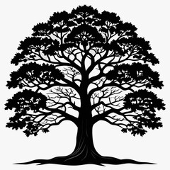 A tall and majestic oak tree with wide branches in black and white vector silhouette., Adobe Illustrator Artwork
