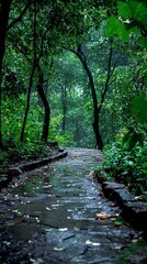 Obraz premium Rainy path, lush forest, tranquility, nature, background mist, website banner