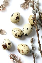 Composition with quail eggs and flower branches on white background