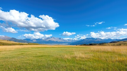 Obraz premium Sunny Meadow Landscape with Mountains