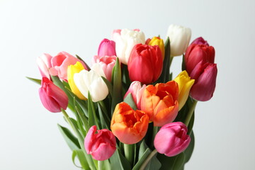 Beautiful fresh tulips on white background