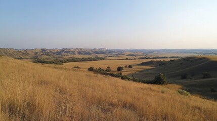 Fototapeta premium Golden fields of nature rolling hills landscape sunny afternoon tranquil environment wide-angle view serenity concept