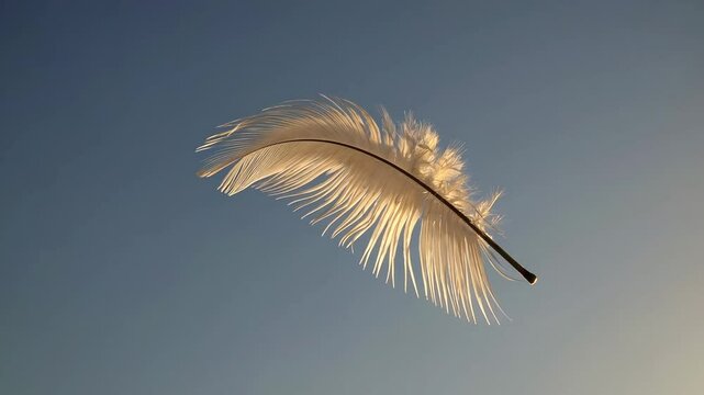 White feather floating against a clear sky at sunset, symbol of lightness and freedom concept