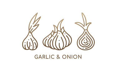 Onion and garlic. Linear set icons. Logo vegan food. Ripe root. Spices sliced vegetable. Vector contour illustration