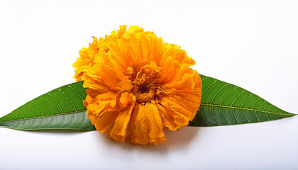 marigold flower and mango leaf toran on white history