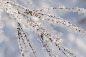 Frozen icicles and snowflakes during the winter season