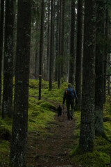 Obraz premium person and dog hiking in the forest 