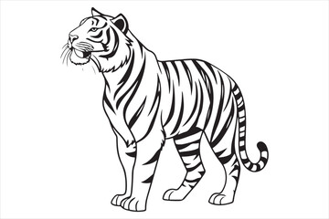 Black and white illustration tiger