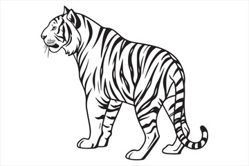 Black and white illustration tiger