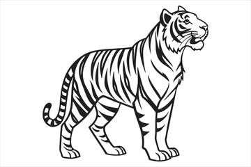 Black and white illustration tiger