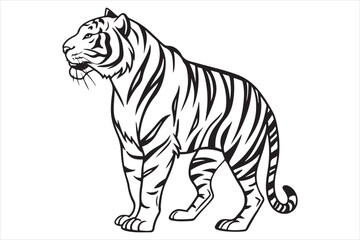 Black and white illustration tiger