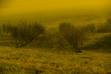Paesaggi dalle colline di Valmadonna - Alessandria - Piemonte - Italia