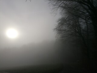 Nebel 
