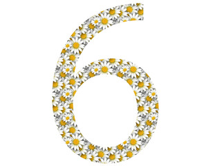 Numbers with a daisy pattern. Can be used for Wedding - Background and Date.
