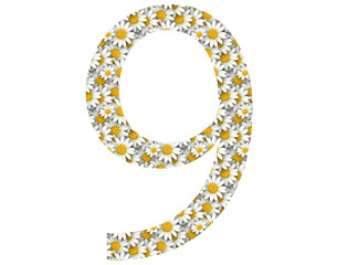 Numbers with a daisy pattern. Can be used for Wedding - Background and Date.