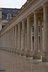 Naklejka premium Endless rows of columns create a perfect harmony of space and perspective. Palais-Royal, Paris, France