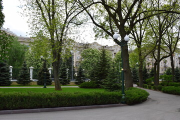 An urban park with paved walkways lined with bushes and trees. Green Escape in the City