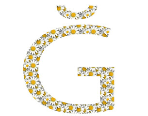Floral alphabet. Daisy patterned alphabet letters
