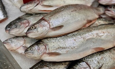Raw steaks of rainbow trout chilled on shallow ice at the seafood market. An open shelf at the fish market. Close-up