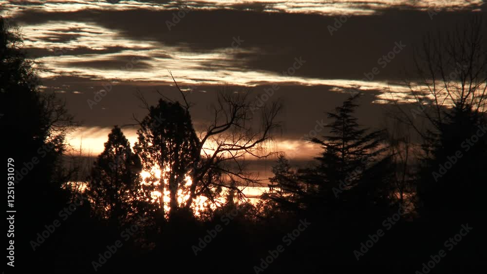 Canvas Prints sunrise time lapse, night to day close up on sun rising above trees and passing clouds.