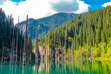 Sunken forest of Lake Kaindy in Kazakhstan. Beautiful mountain natural landscape. A blue lake with...