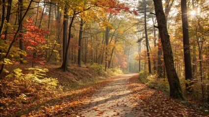Autumn forest path, golden sunlight, fallen leaves, winding dirt road, tall trees, vibrant fall colors, misty atmosphere,