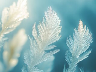 Graceful Frost Ballet: Intricate Patterns on Glass Window Reflecting Winter's Beauty