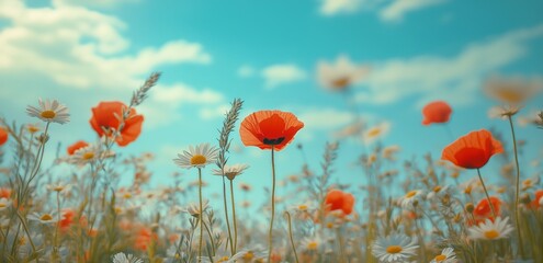 Obraz premium Colorful wildflowers bloom under a sunny sky in springtime field