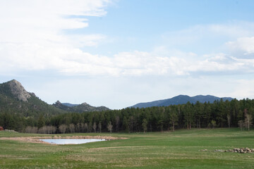 Fototapeta premium Rural Colorado meadow in spring