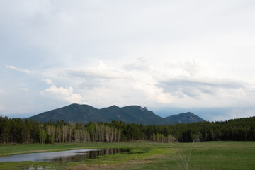 Meadow in the Colorado rocky Mountains