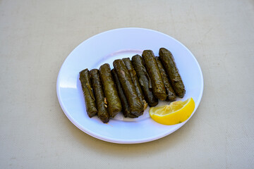 Delicious dolma (sarma) stuffed grape leaves rice, white yogurt sauce. Lebanese dolma sarma on plate. Lebanon turkish greek middle eastern cuisine. (Turkish name; yogurtlu yaprak sarma)