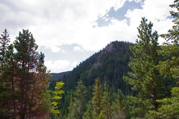 Mountain through the trees
