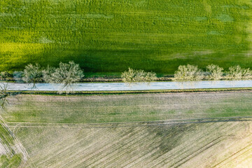 Aerial view of agricultural fields with tree shadows at sunrise