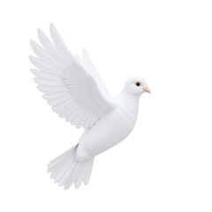 Obraz premium A white dove in flight against a cut out background.