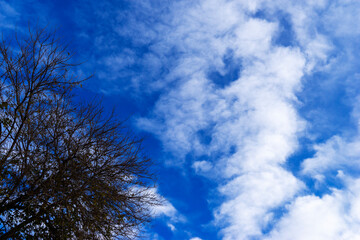 blue sky with beautiful white clouds on a spring day.